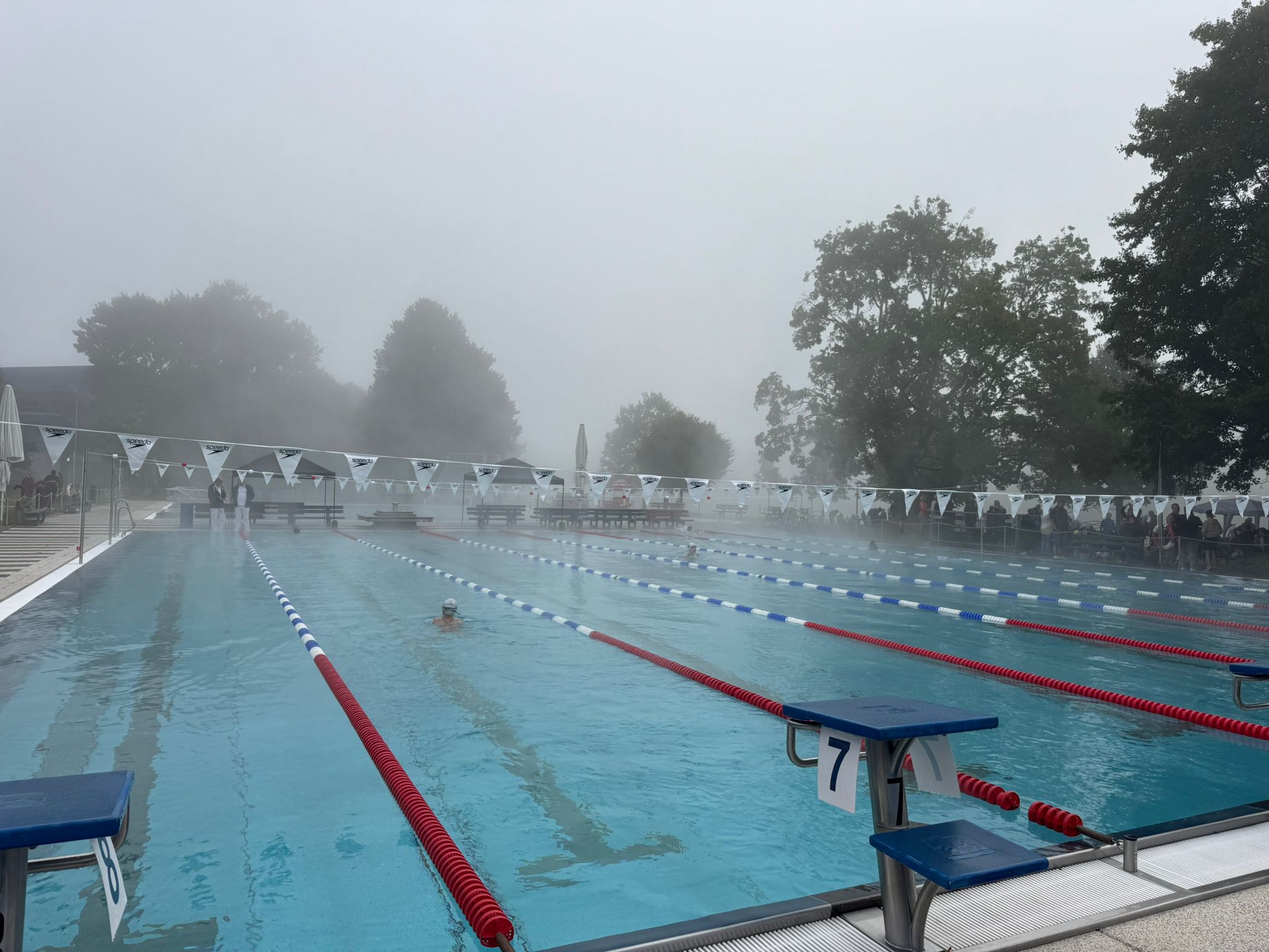 Mehr über den Artikel erfahren Einladung Schnuppertag Eisschwimmen 2025