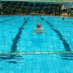 Wasserball Hinrunde 2025-2026 Bericht
