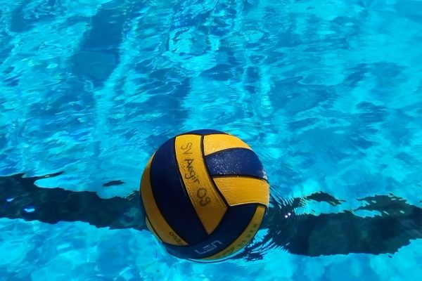 Wasserball-Ball-SV-Aegir-09